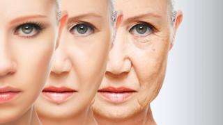 Scientists have discovered a substance that slows down the aging process.